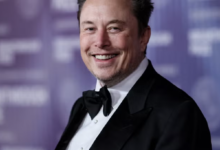 Elon Musk's net worth growth chart