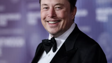 Elon Musk's net worth growth chart