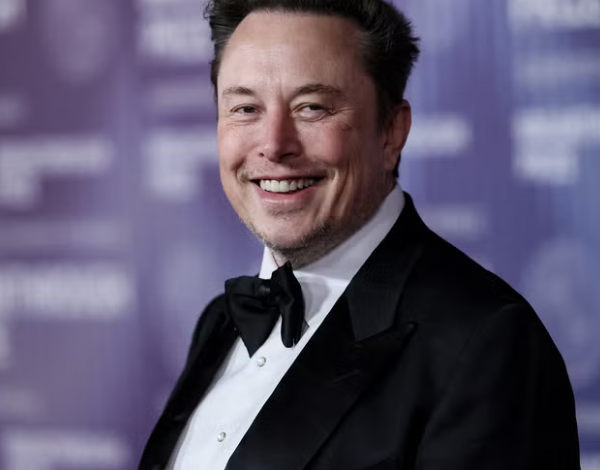 Elon Musk's net worth growth chart